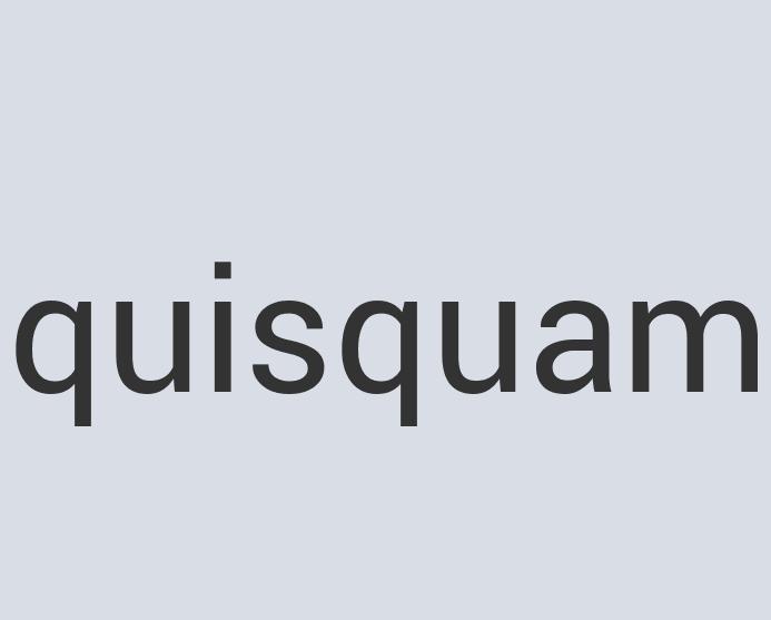 Aerodynamic Bronze L-Spot