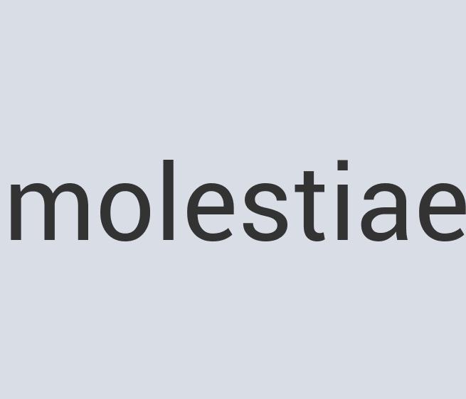 Aerodynamic Wooden Alumetal